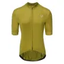Green olive