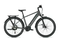 Raleigh KENT 10 XXL granitegrey matt 28" 625 Wh Diamant Raleigh KENT 10 XXL granitegrey matt 28" 625 Wh Diamant