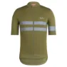 Dark khaki / silver