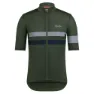 Deep olive / dark navy