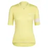 Canary yellow / white alyssum 2
