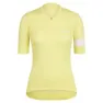 Canary yellow / white alyssum 2