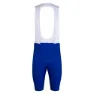 Indigo / white