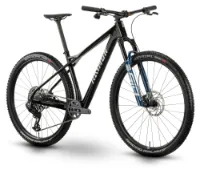 Raymon Arid Ultra Carbon 29" Diamant Raymon Arid Ultra Carbon 29" Diamant