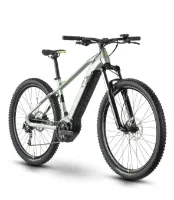 Raymon HardRay E 5.0 M350 pistaccio/black/limegreen gloss 29" 630 Wh Diamant Raymon HardRay E 5.0 M350 pistaccio/black/limegreen gloss 29" 630 Wh Diamant