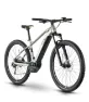 Raymon HardRay E 5.0 M350 pistaccio/black/limegreen gloss 29" 630 Wh Diamant, Hellgrün, L