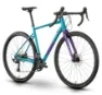 Raymon Territ Pro Miami Blue / Purple 28" Diamant