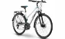 Raymon TourRay 2.0  - 28 Zoll 21K Trapez