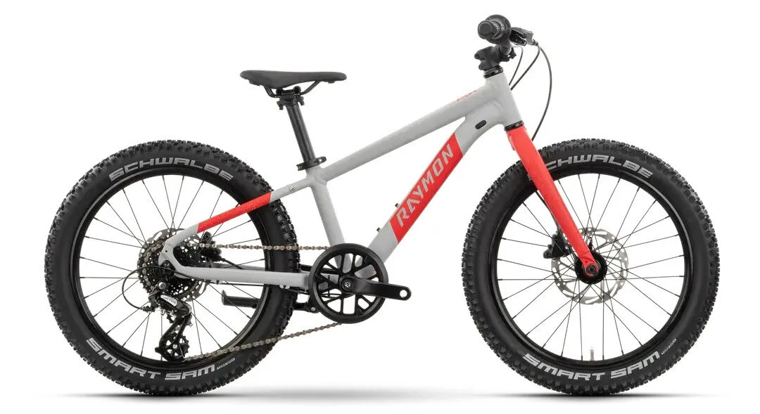 Raymon Yanga 20 Pro Grey / Red 20" Diamant, Hersteller-grey / red, U Raymon Yanga 20 Pro Grey / Red 20" Diamant, Hersteller-grey / red, U