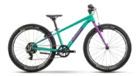 Raymon Yanga 24 Green / Purple 24" Diamant
