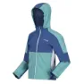 Regatta Acidity Vi Softshelljacke