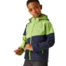 Piquant green / navy