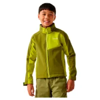 Regatta Acidity Viii Softshelljacke Regatta Acidity Viii Softshelljacke