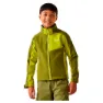 Nephrite green / green green