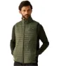 Olive night / black