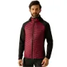 Dark maroon / black
