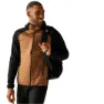 Nut brown / black