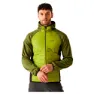 Green / possibly different shades