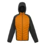 Regatta Andreson Viii Jacke Refurbished, Fox / ash