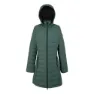 Spruce green