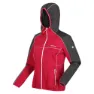 Regatta Attare Softshelljacke