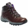 Chestnut / alpine purple