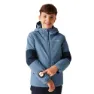 Coronet blue / navy