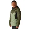 Olive night / oil green