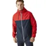 Navy / high risk red