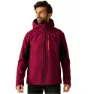 Dark maroon / black