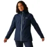 Navy / icy morn