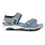 Grey / wild lime
