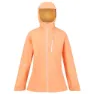 Regatta Britedale Softshelljacke