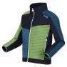 Regatta Brynden Softshelljacke