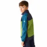 Regatta Brynden Softshelljacke