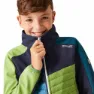 Regatta Brynden Softshelljacke