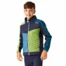 Regatta Brynden Softshelljacke