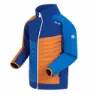 Regatta Brynden Softshelljacke