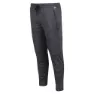 Regatta Carstol Hosen, Ash marl