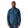 Moonlight denim