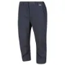 Seal grey