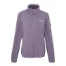 Regatta Clemance Iv Fleece