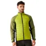 Green / possibly different shades