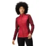 Rumba red / burgundy