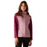 Lilac / beaujolais / pop