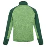 Regatta Coladane V Fleece Mit Durchgehendem Reißverschluss, Jasmine green / green