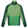 Regatta Coladane V Fleece Mit Durchgehendem Reißverschluss, Jasmine green / green