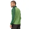 Regatta Coladane V Fleece Mit Durchgehendem Reißverschluss, Jasmine green / green