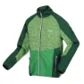 Regatta Coladane V Fleece Mit Durchgehendem Reißverschluss, Jasmine green / green