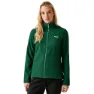 Rain forest marl